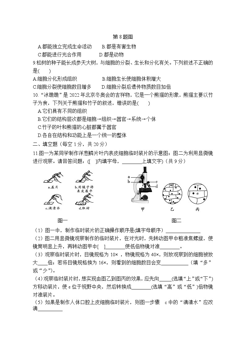 湖北省咸宁市崇阳县大集中学2023-2024学年七年级上学期期中考试生物试题02
