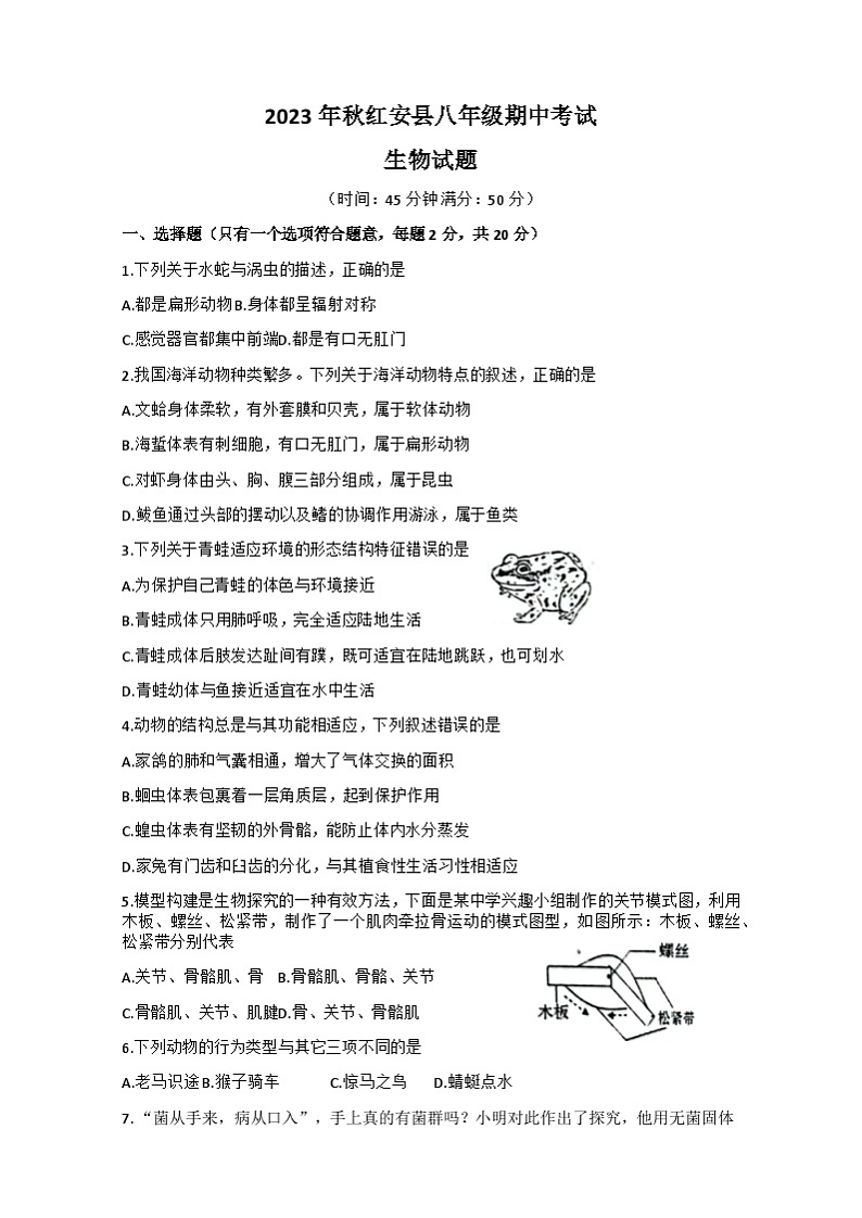 试题8生物第1页