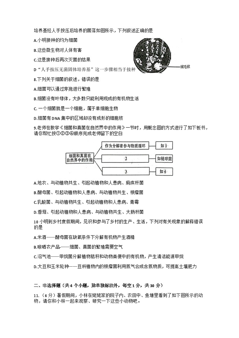 试题8生物第2页