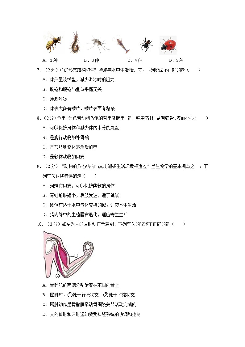 湖南省长沙市明德教育集团2023-2024学年八年级上学期期中生物试卷02