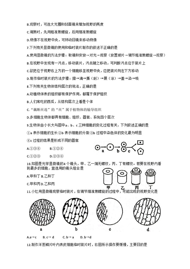 湖北省洪湖市新堤中学2023-2024学年七年级上学期期中考试生物试题02