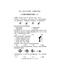 广东省揭阳市榕城区2023-2024学年八年级上学期期中考试生物试题