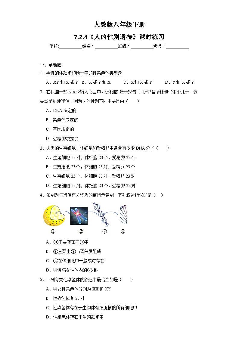 【核心素养】人教版八年级下册7.2.4《人的性别遗传》课件＋课时练习＋教案（含教学反思）01