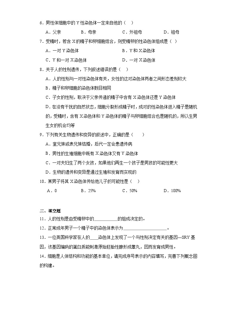 【核心素养】人教版八年级下册7.2.4《人的性别遗传》课件＋课时练习＋教案（含教学反思）02