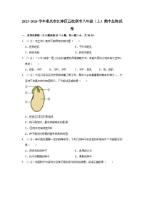 重庆市江津五校联考2023-2024学年八年级上学期期中生物试题