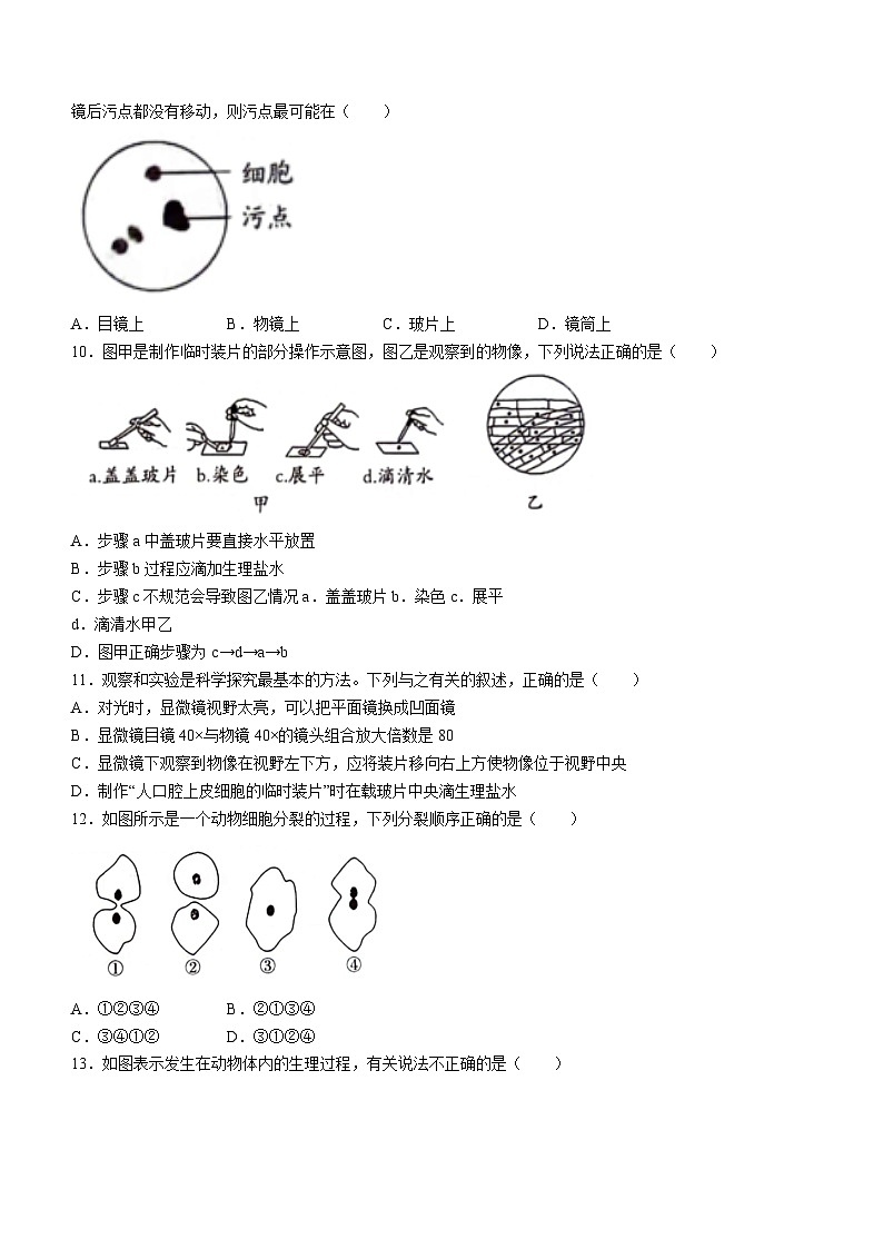 河北省沧州市孟村回族自治县王史中学2023-2024学年七年级上学期期中考试生物试题02