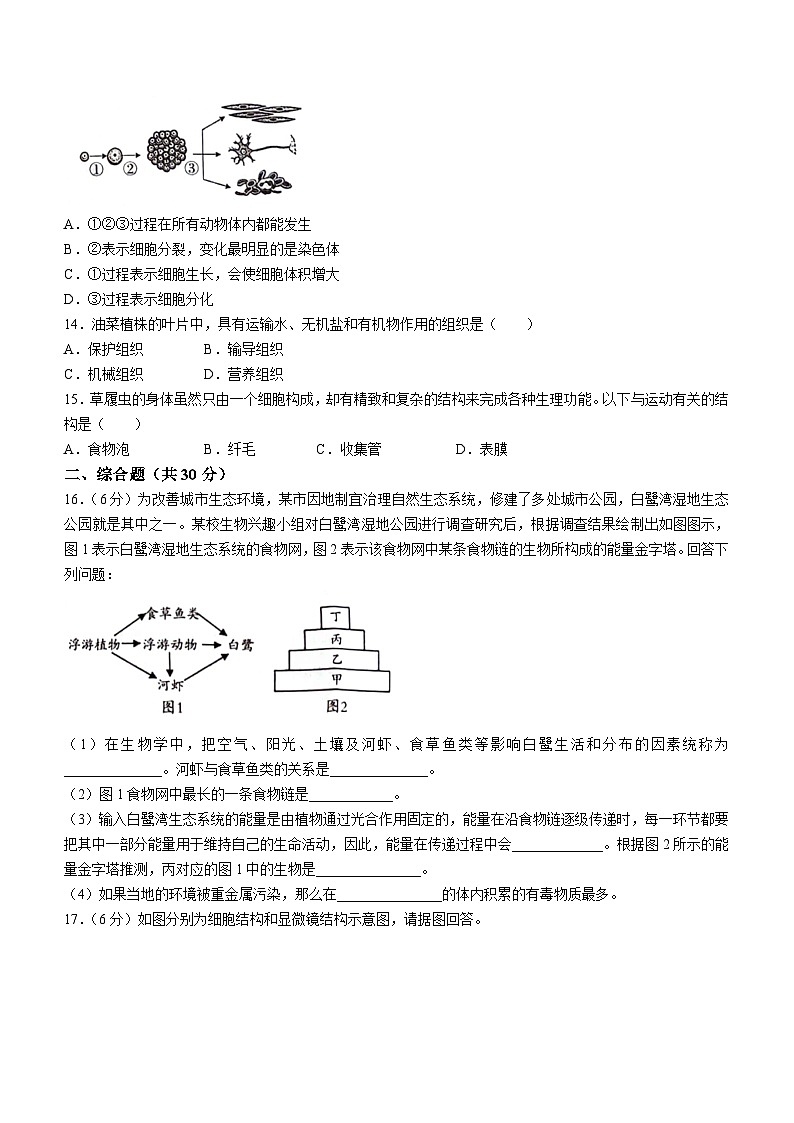 河北省沧州市孟村回族自治县王史中学2023-2024学年七年级上学期期中考试生物试题03