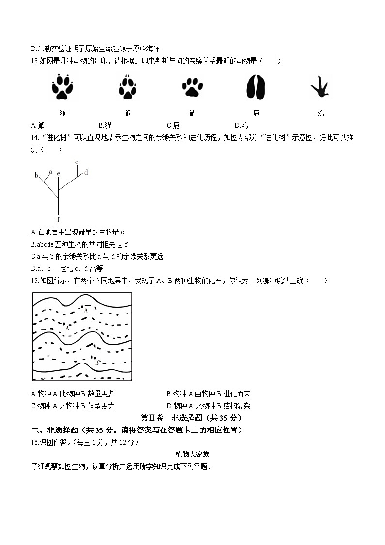 山西省长治市长子县2023-2024学年八年级上学期期中教学质量评估生物试卷03