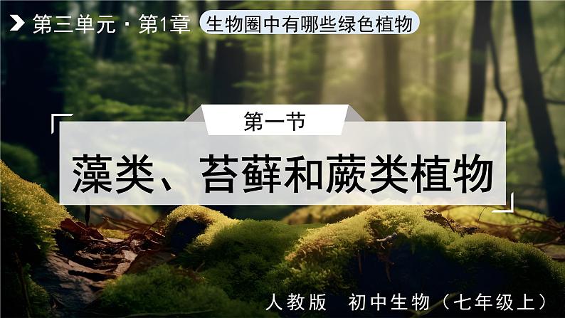 人教版生物七年级上册3.1.1《藻类、苔藓和蕨类植物》教学课件01