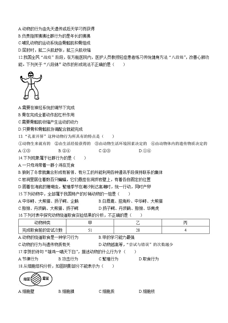 广东省韶关市北江实验学校2023—2024学年八年级上学期期中生物试卷(无答案)02