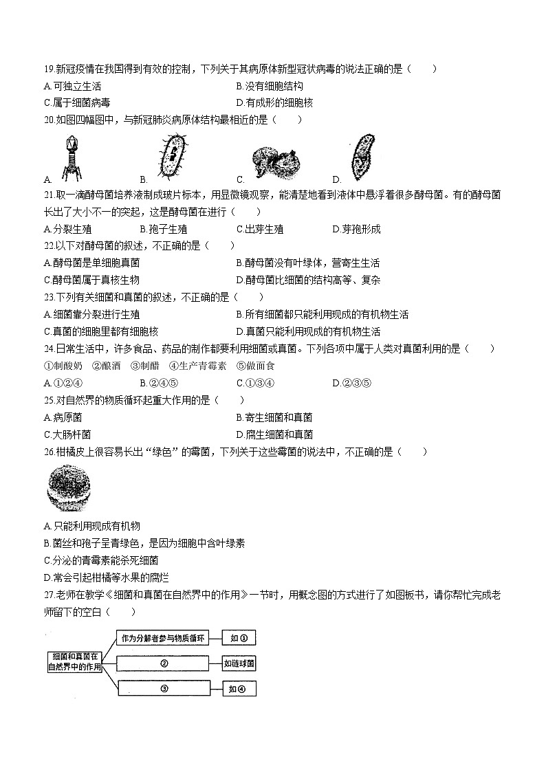 广东省韶关市北江实验学校2023—2024学年八年级上学期期中生物试卷(无答案)03