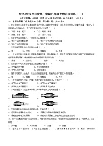 广东省湛江市雷州市第三中学2023-2024学年八年级上学期9月阶段训练生物试卷(无答案)