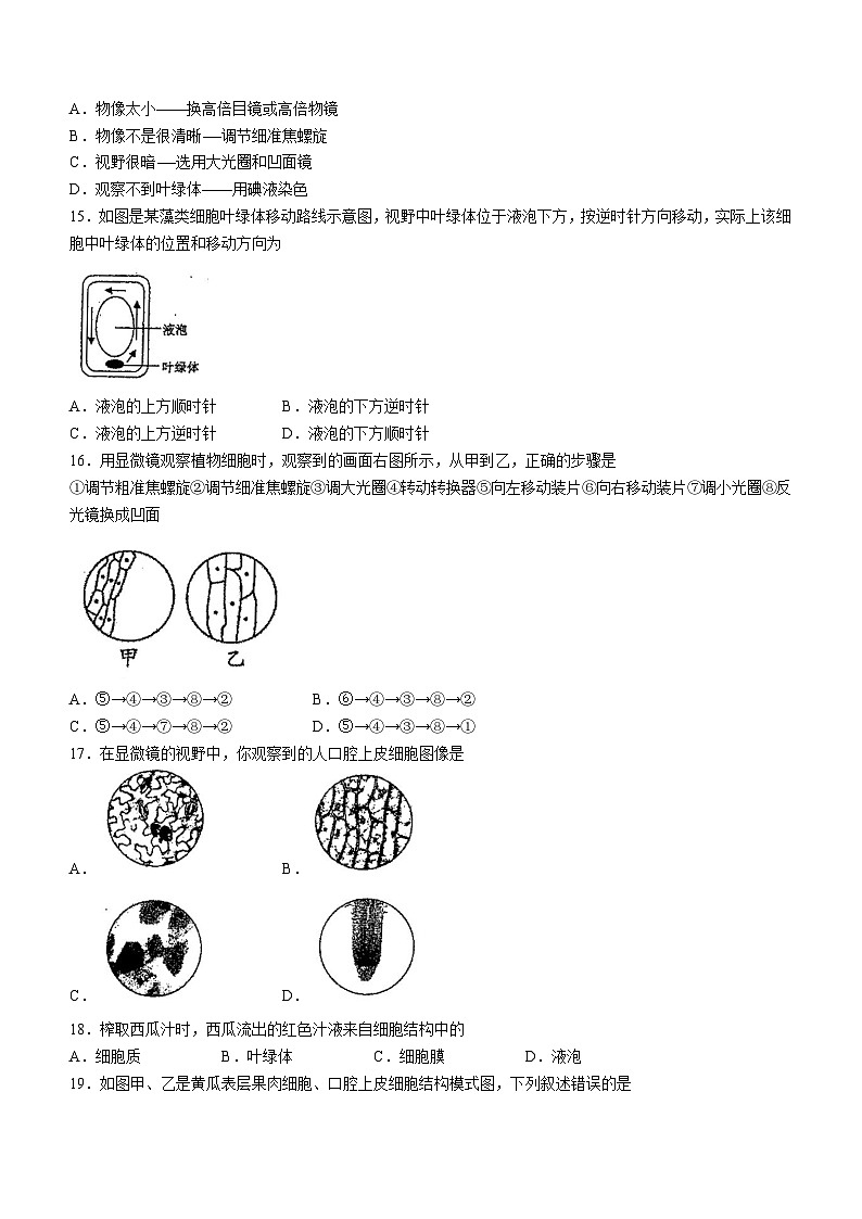 广东省湛江市雷州市第三中学2023-2024学年七年级上学期期中生物试卷(无答案)03