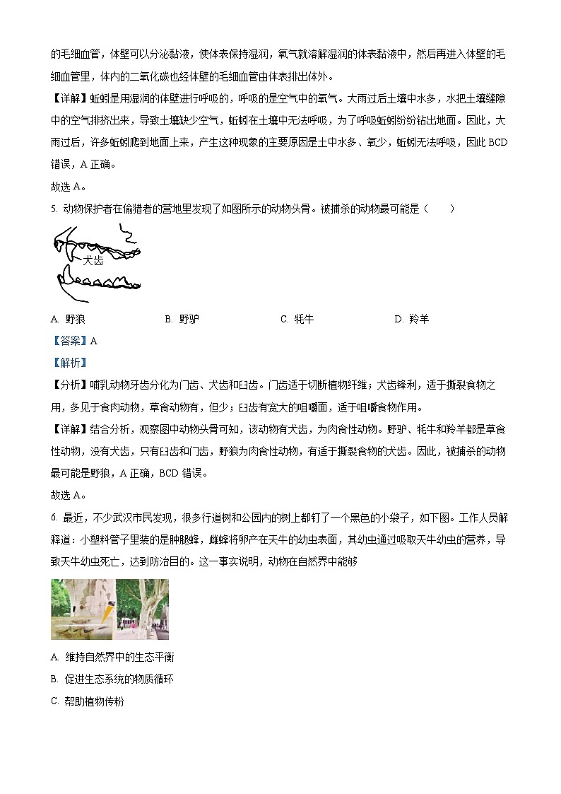湖南省郴州市汝城县2023-2024学年八年级上学期期中生物试题（解析版）第3页