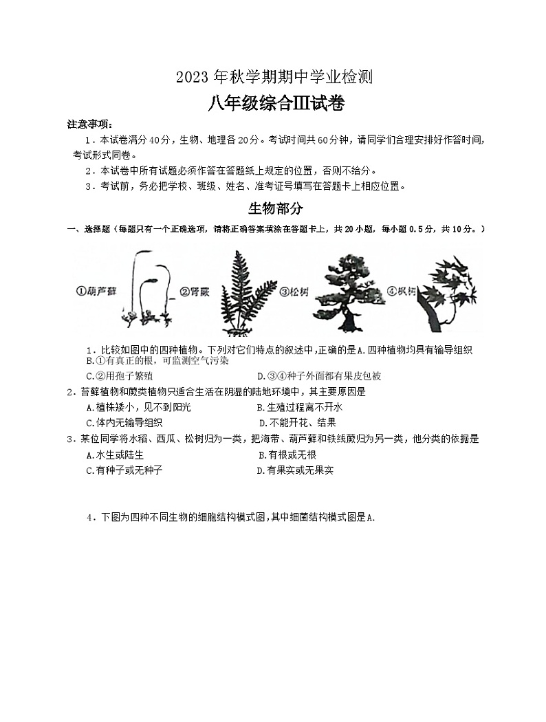江苏省盐城市大丰区2023-2024学年八年级上学期期中生物试题第1页