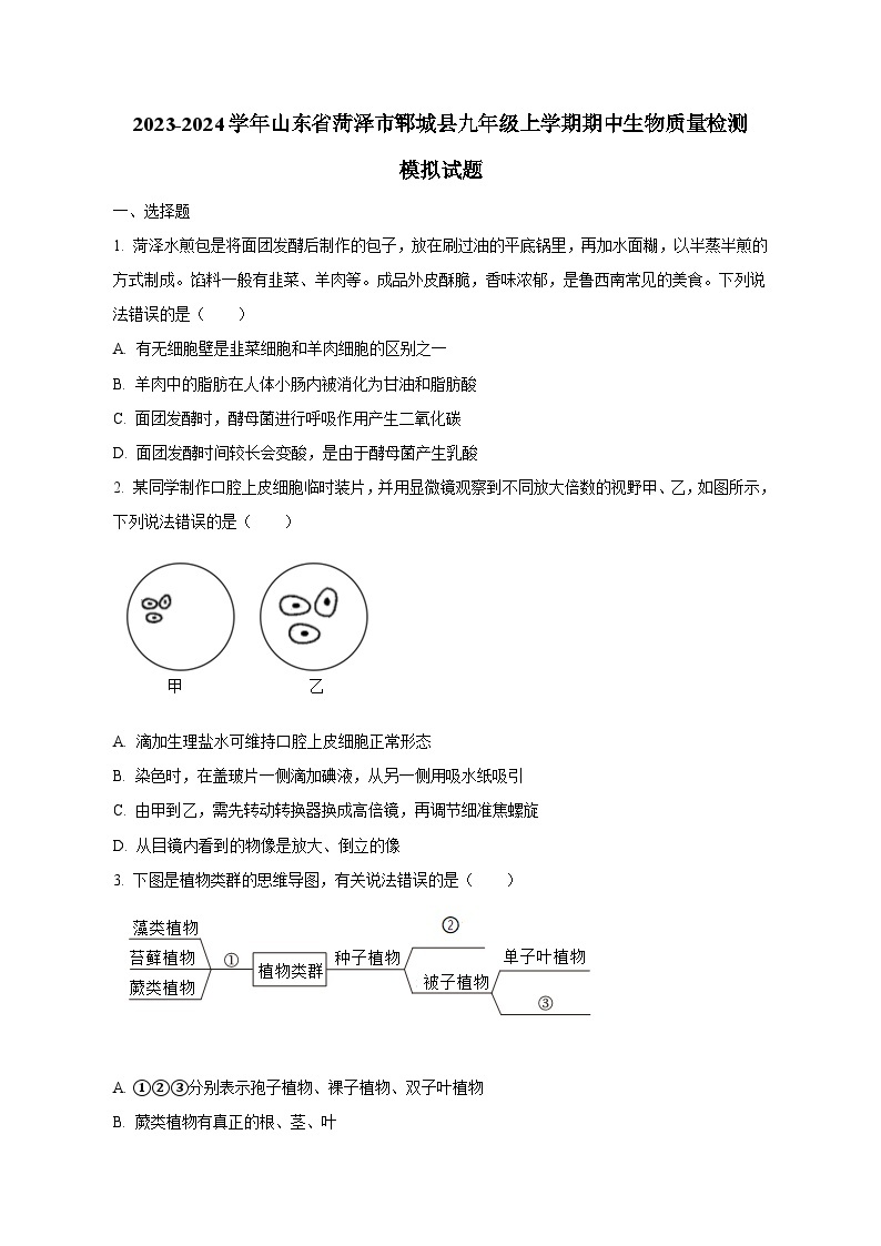 2023-2024学年山东省菏泽市郓城县九年级上学期期中生物质量检测模拟试题（含解析）01