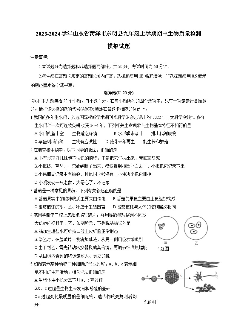 2023-2024学年山东省菏泽市东明县九年级上学期期中生物质量检测模拟试题（含解析）01