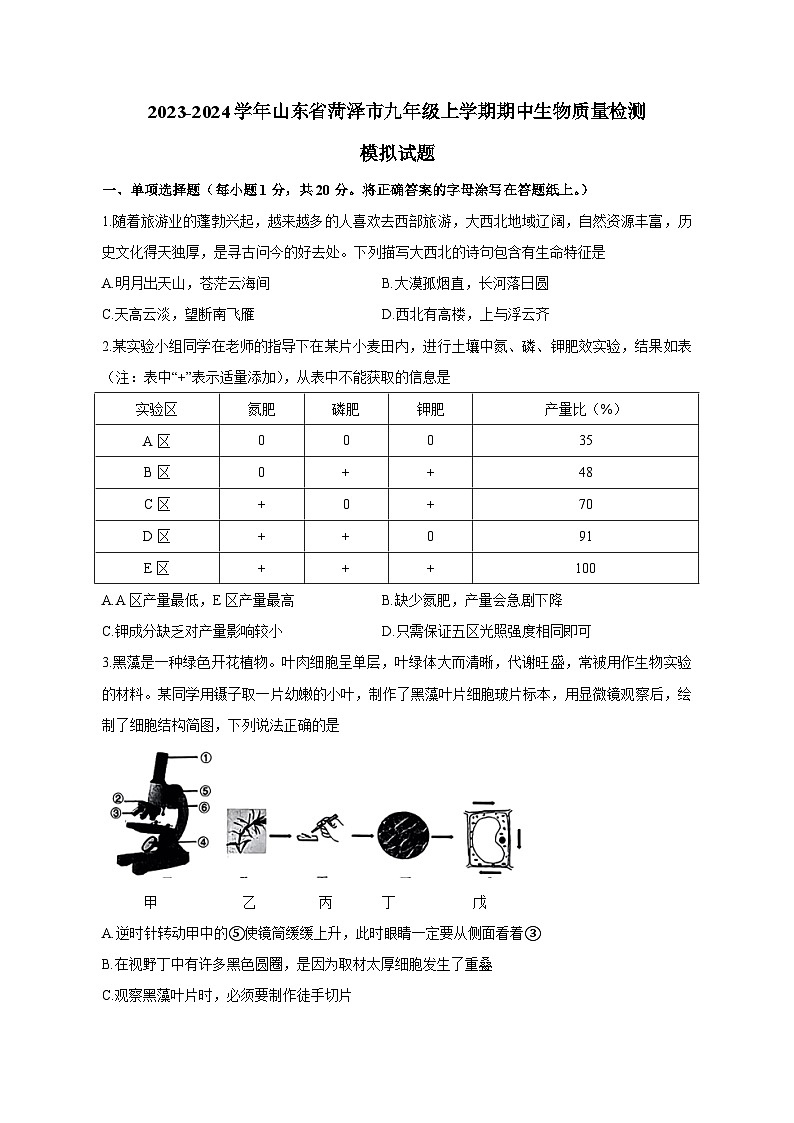 2023-2024学年山东省菏泽市九年级上学期期中生物质量检测模拟试题（含解析）01