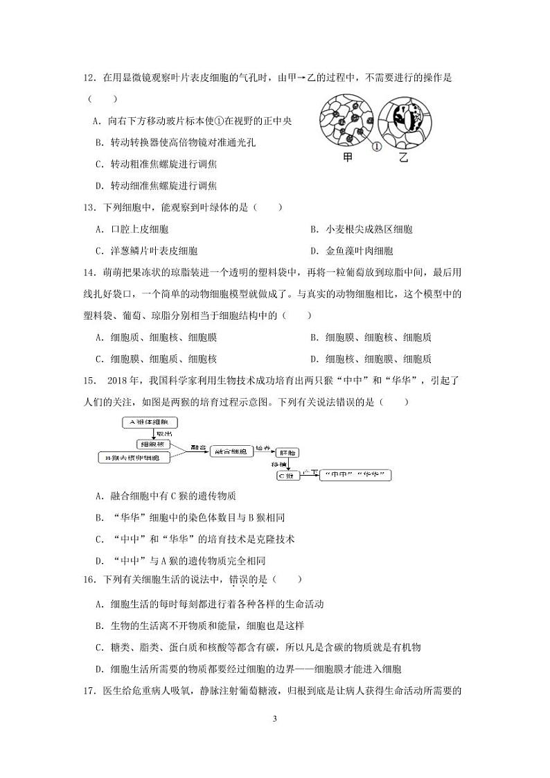 四川省德阳市第二中学校教育集团2023-2024学年七年级上学期期中联考生物试题（甲卷）第3页