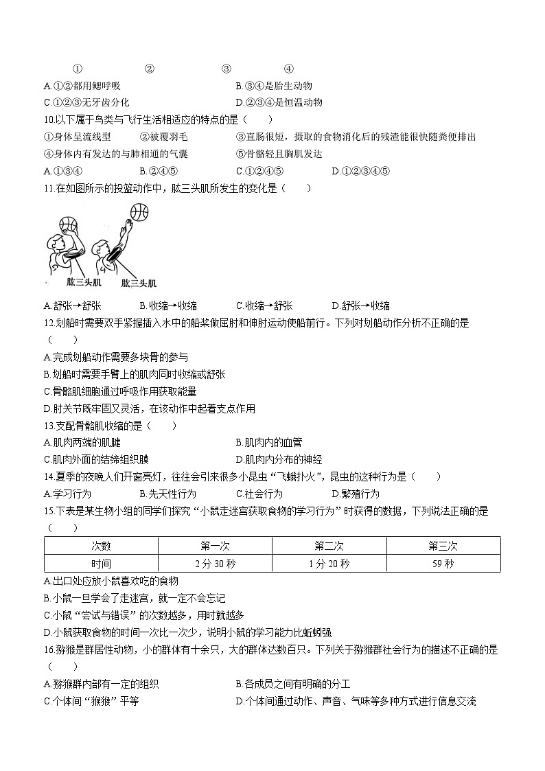 山西省晋中市榆次区什贴镇中学2023-2024学年八年级上学期11月期中生物试卷02