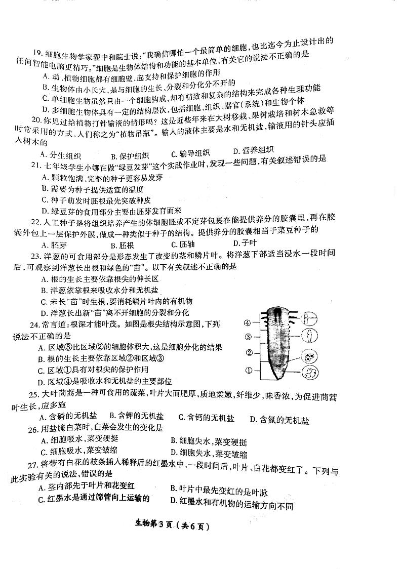 2023-2024洛阳市涧西区七年级上学期期中生物试卷及答案03