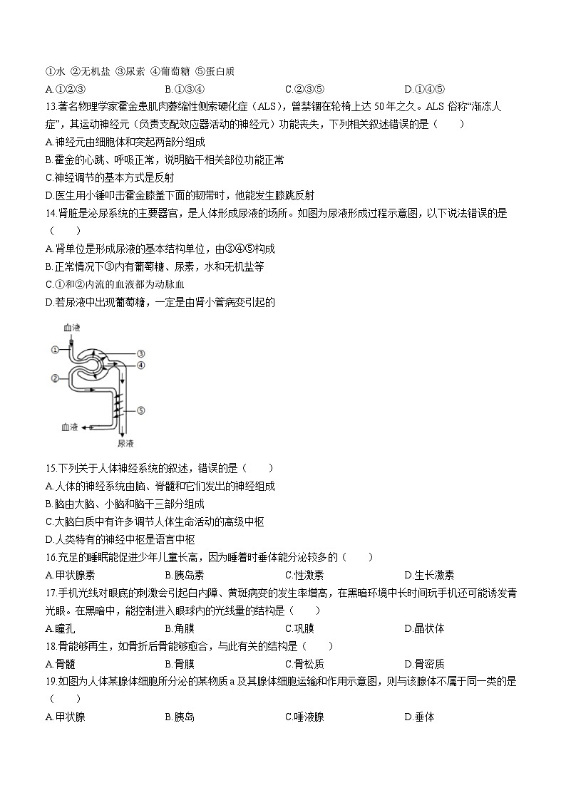 江苏省泰州市靖江市实验学校2023-2024学年八年级上学期期中生物试卷03