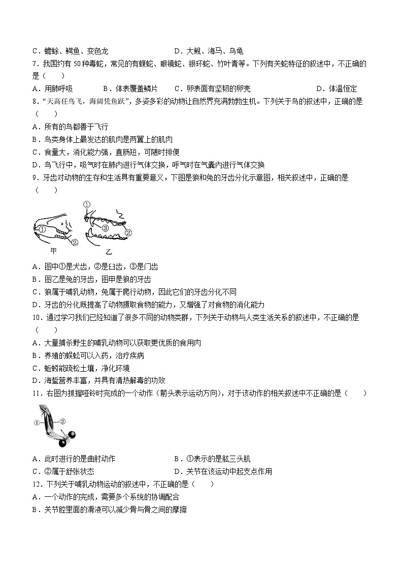 云南省昆明市禄劝县第一中学2023—2024学年八年级上学期期中检测生物试卷02