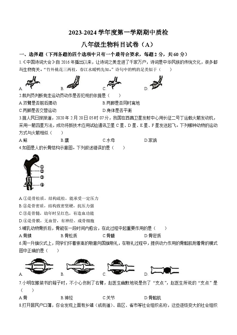 广东省揭阳市榕城区2023-2024学年八年级上学期期中考试生物试题01