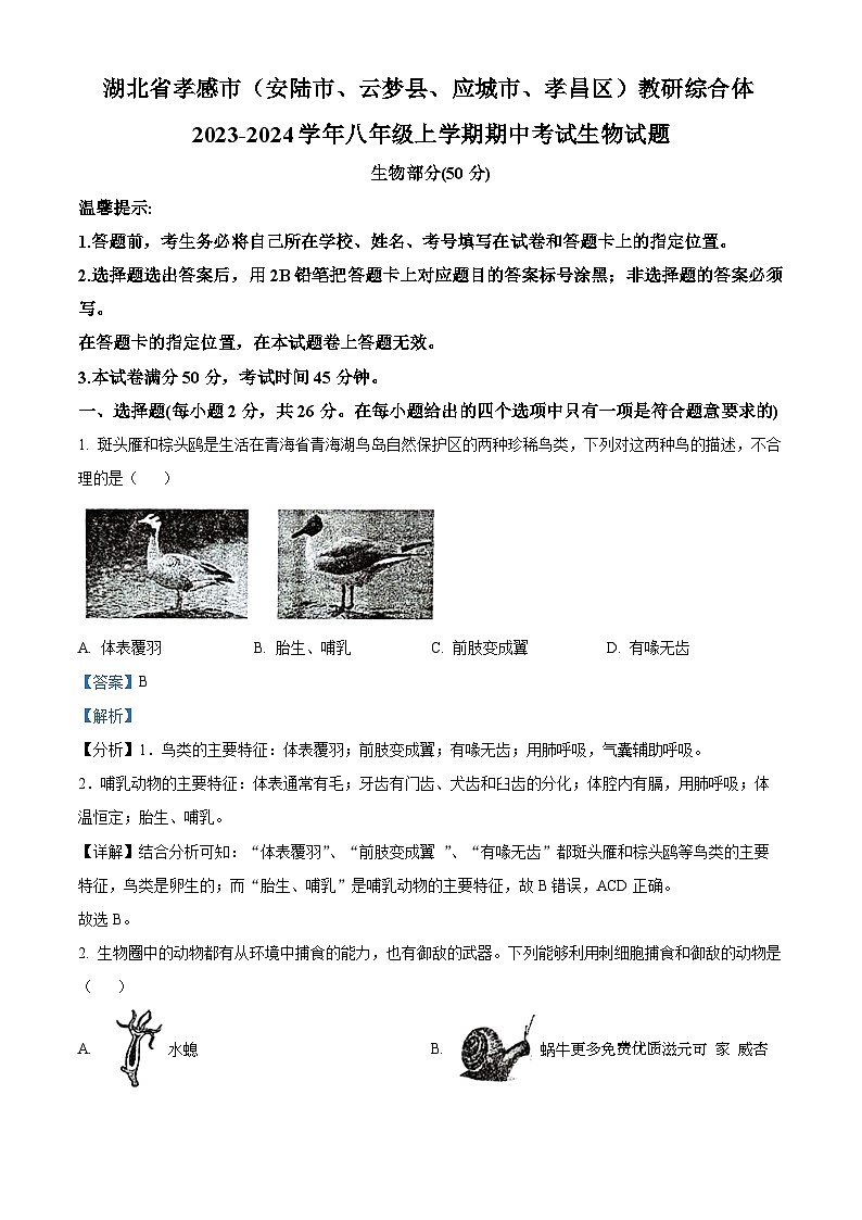 湖北省孝感市（安陆市、云梦县、应城市、孝昌区）教研综合体2023-2024学年八年级上学期期中生物试题（解析版）第1页