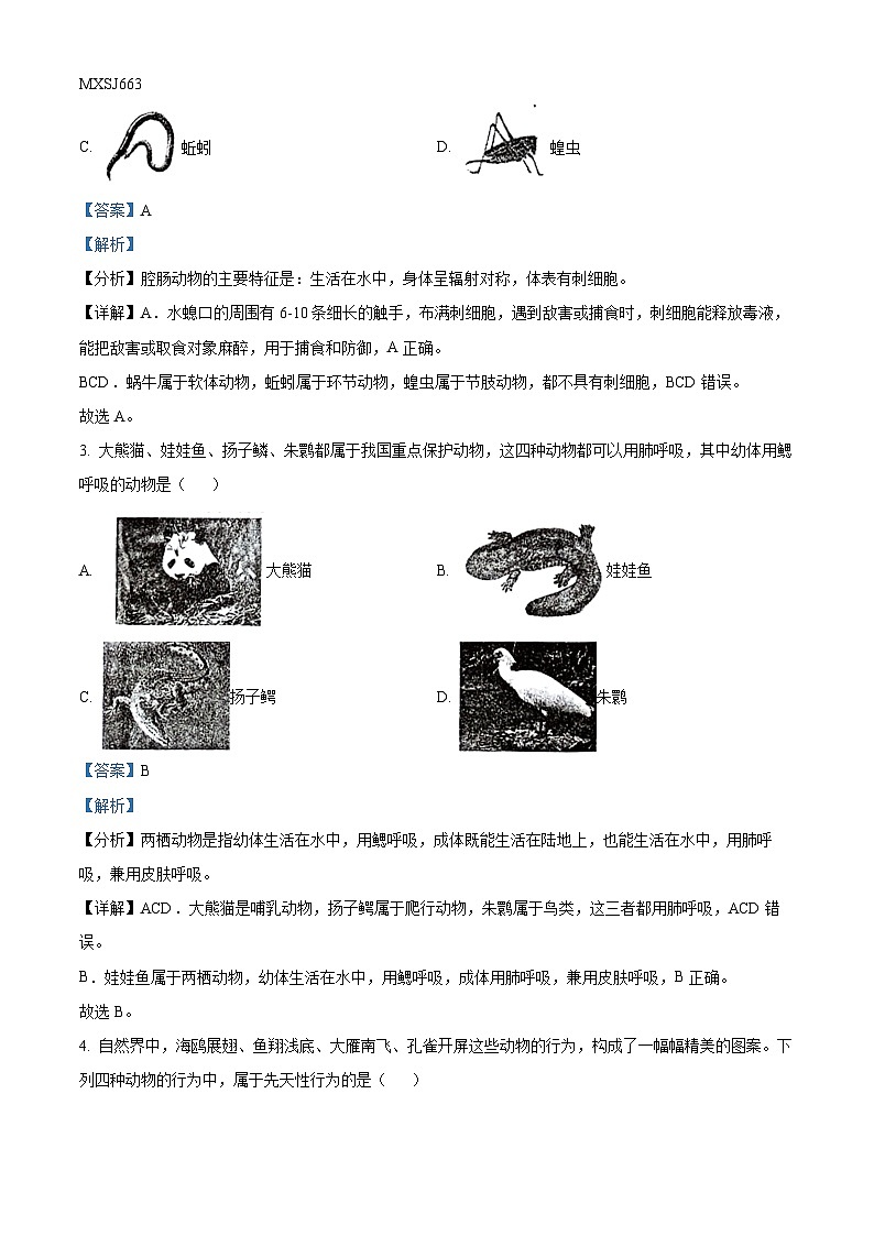 湖北省孝感市（安陆市、云梦县、应城市、孝昌区）教研综合体2023-2024学年八年级上学期期中生物试题（解析版）第2页