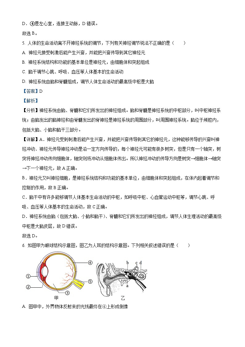 江苏省连云港市新海实验中学2023-2024学年八年级上学期期中考试生物试题（解析版）第3页