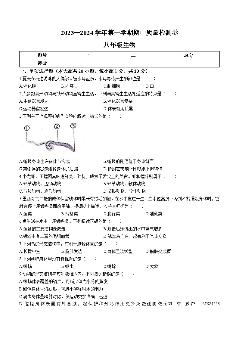 江西省赣州市于都县2023-2024学年八年级上学期期中考试生物试题(无答案)01