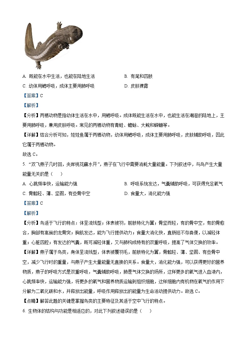 山东省临沂市临沭县2023-2024学年八年级上学期期中考试生物试题（解析版）03