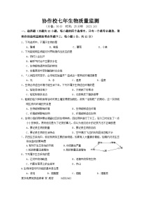 辽宁省营口市集团校2023-2024学年七年级上学期10月质量检测生物试题