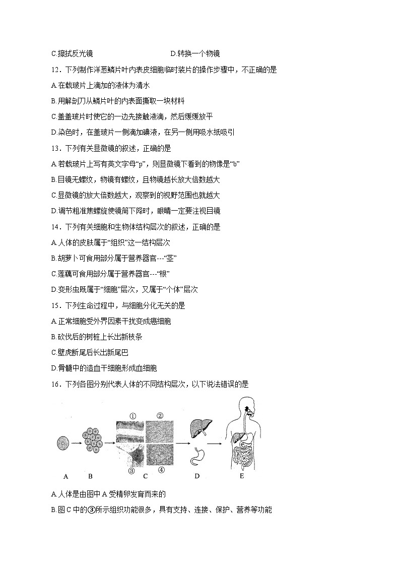 2023-2024学年山东省青岛市胶州市七年级上学期期中考试生物质量检测模拟试题（含解析）第3页