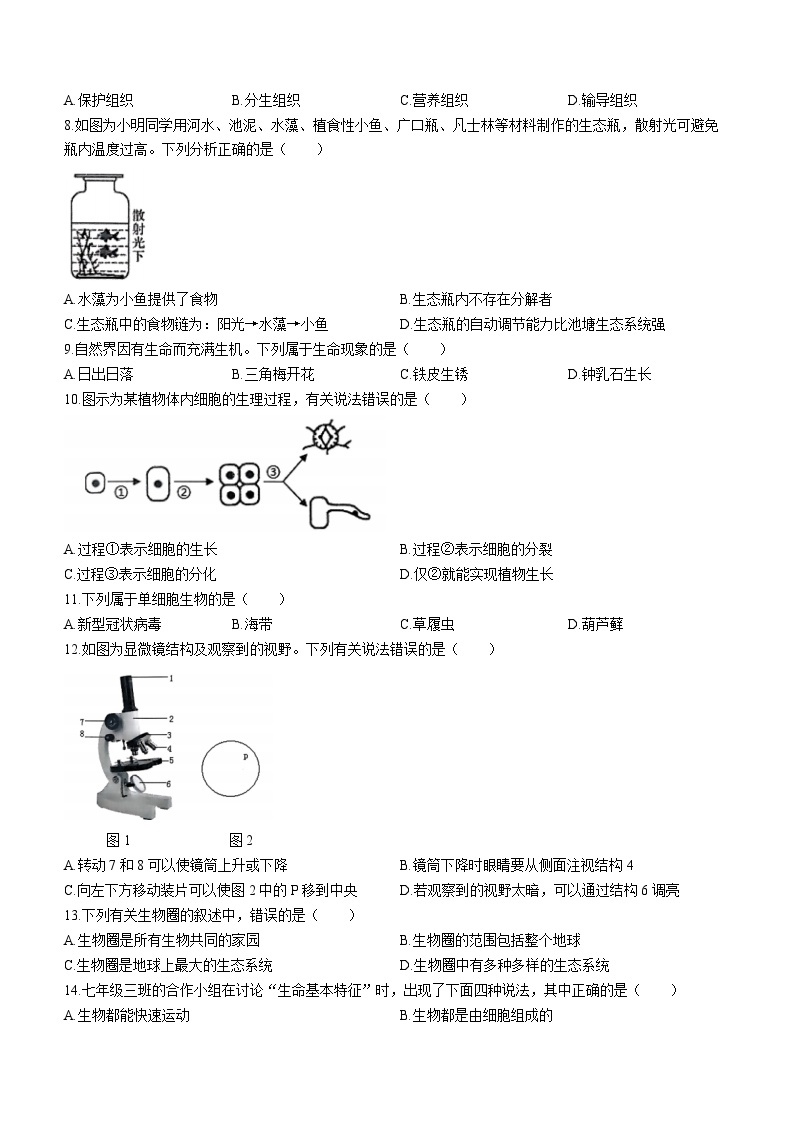 山西省朔州市怀仁市2023-2024学年七年级上学期11月期中生物试题02