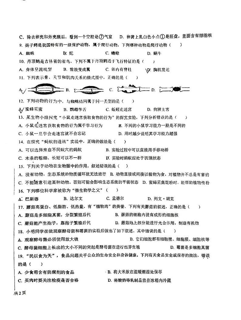 吉林省长春市德惠市第二十九中学2023-2024学年上学期八年级生物第二次月考试题（图片版，无答案）第2页