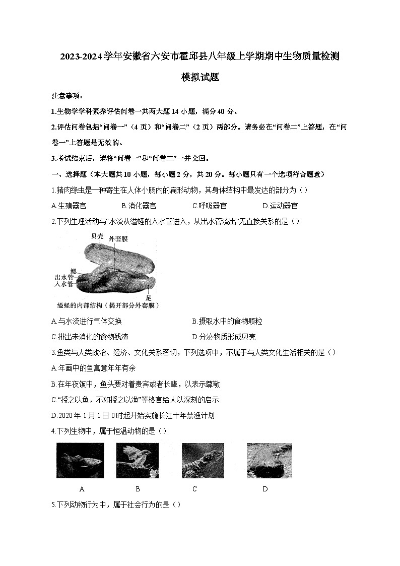 2023-2024学年安徽省六安市霍邱县八年级上册期中生物学情检测模拟试题（含答案）第1页