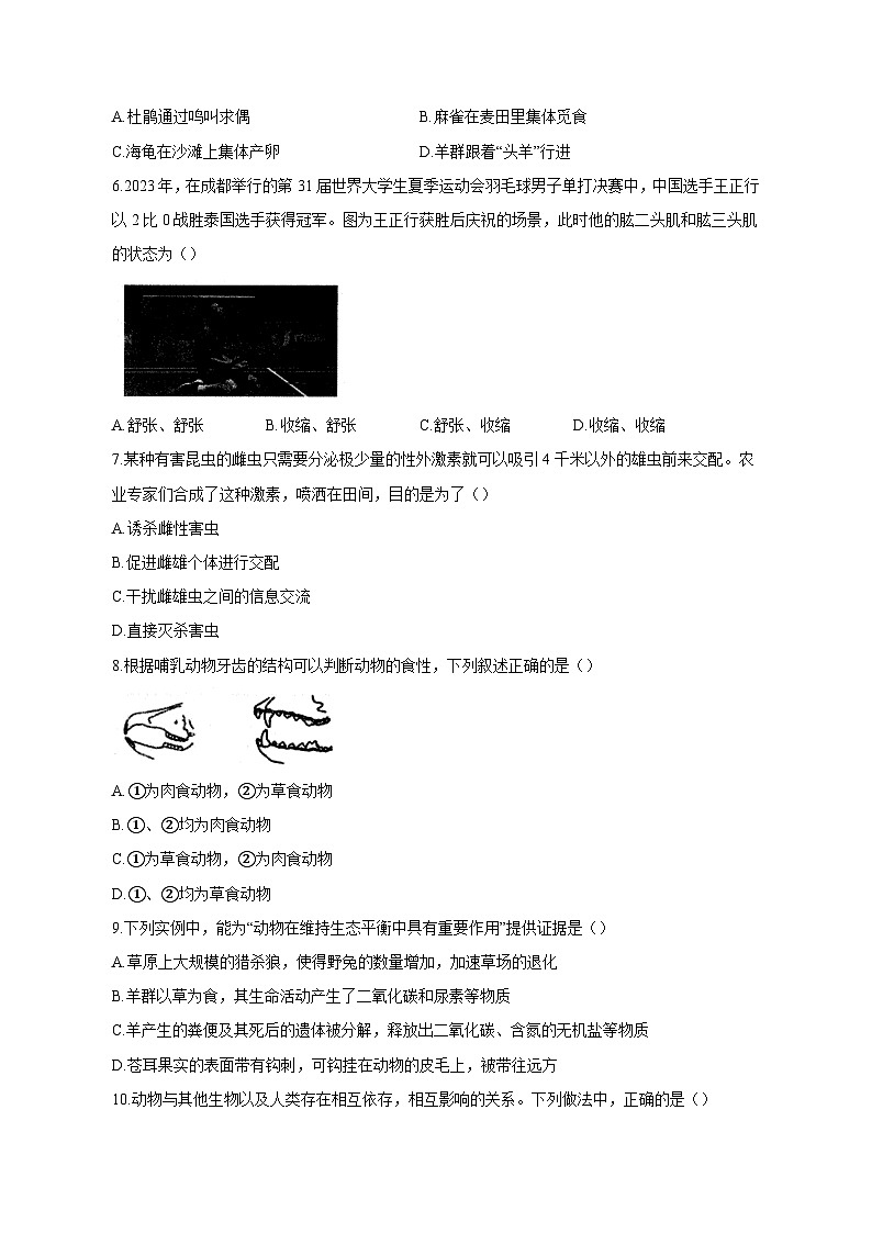 2023-2024学年安徽省六安市霍邱县八年级上册期中生物学情检测模拟试题（含答案）第2页