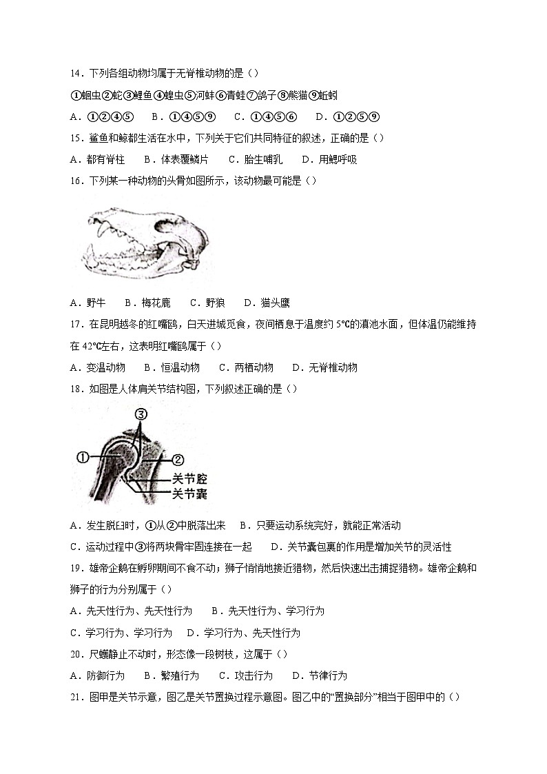 2023-2024学年福建省三明市尤溪县八年级上册期中生物学情检测模拟试题（含答案）第3页