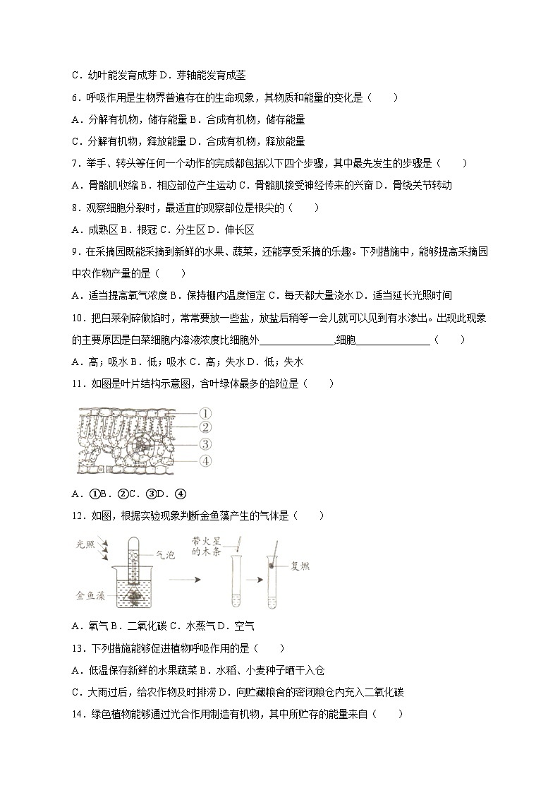 2023-2024学年河北省保定市阜平县八年级上册期中生物学情检测模拟试题（含答案）02