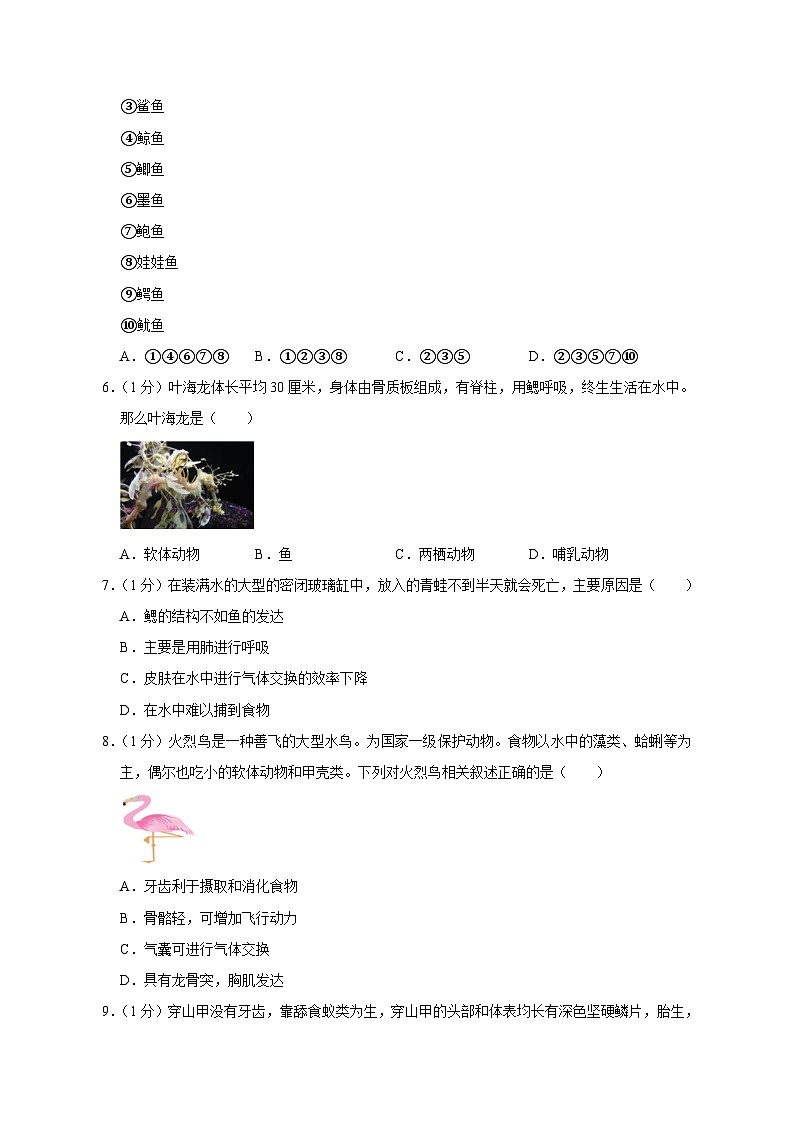 2023-2024学年河南省南阳市八年级上册期中生物学情检测模拟试题（含答案）02