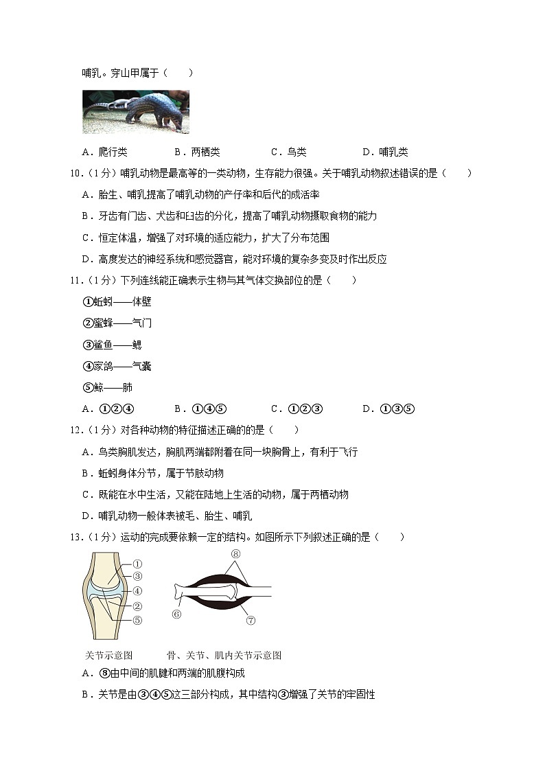2023-2024学年河南省南阳市八年级上册期中生物学情检测模拟试题（含答案）03