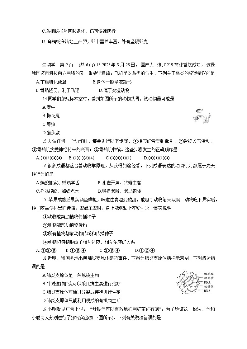 2023-2024学年河南省濮阳市清丰县八年级上册期中生物学情检测模拟试题（含答案）第3页