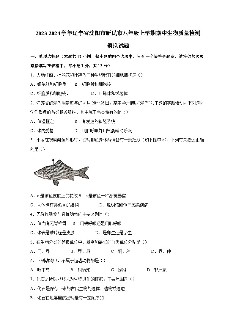 2023-2024学年辽宁省沈阳市新民市八年级上册期中生物学情检测模拟试题（含答案）第1页