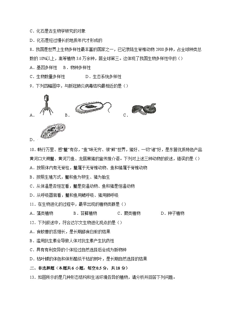 2023-2024学年辽宁省沈阳市新民市八年级上册期中生物学情检测模拟试题（含答案）第2页