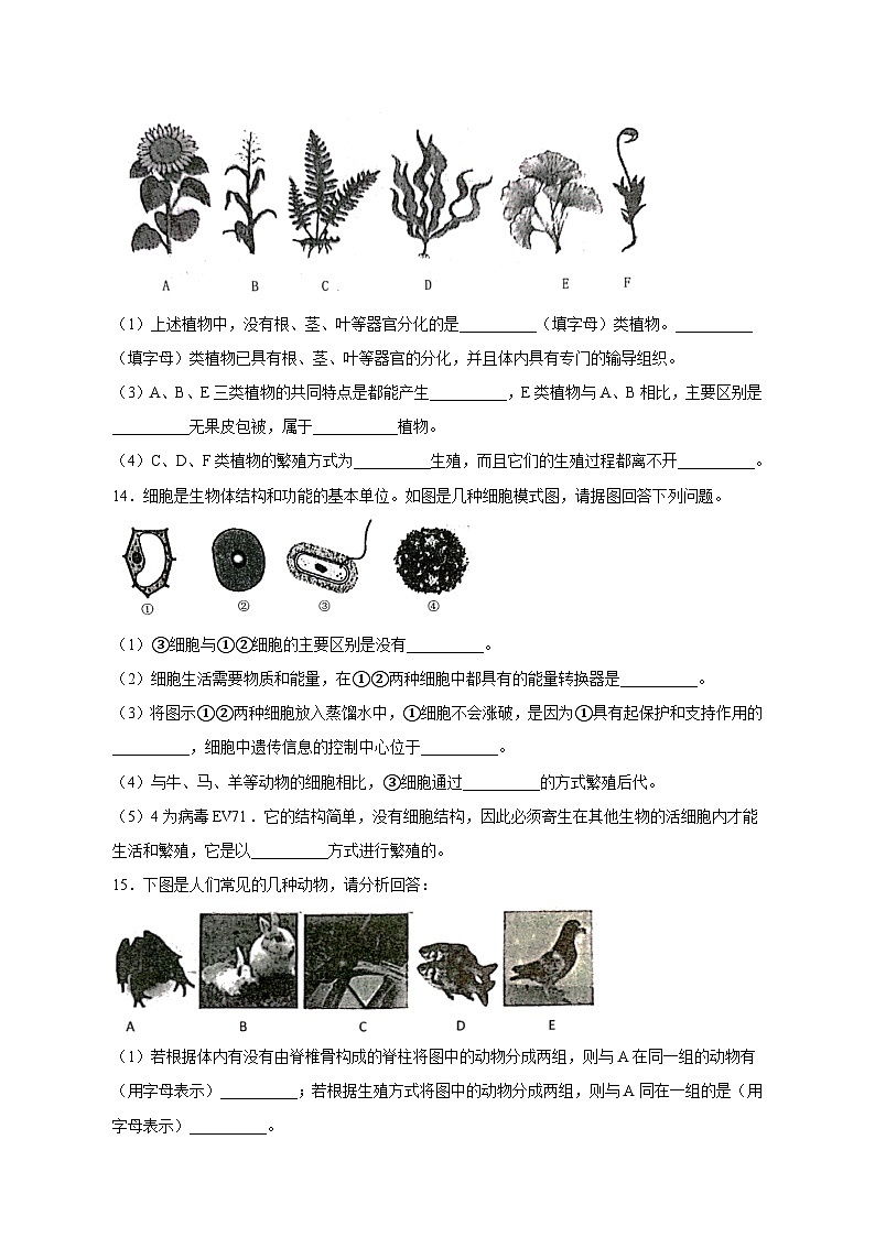 2023-2024学年辽宁省沈阳市新民市八年级上册期中生物学情检测模拟试题（含答案）第3页