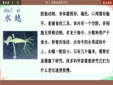 北师大版生物八年级上册 15.1 动物运动的方式课件