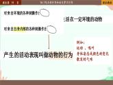 北师大版生物八年级上册 16.1 先天性行为和后天学习行为课件