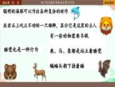 北师大版生物八年级上册 16.1 先天性行为和后天学习行为课件
